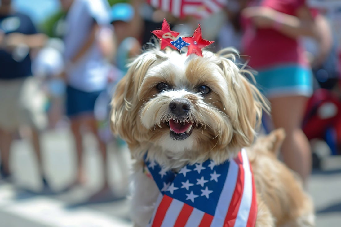 Paws and Patriots: Celebrating Memorial Day with Your Furry Friend - Paws & Co Dog Chews