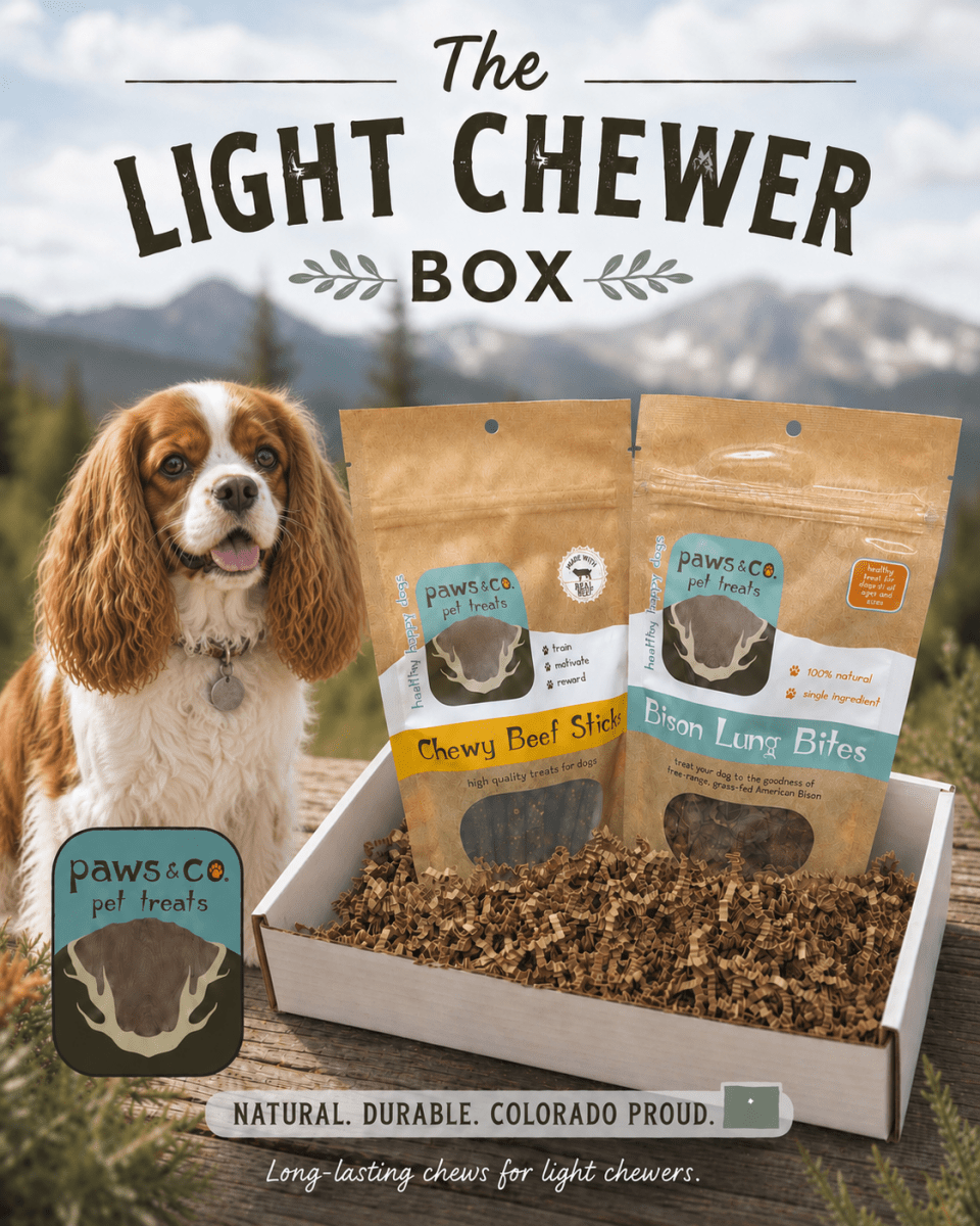 Light Chewer Bundle - Paws & Co Dog Chews