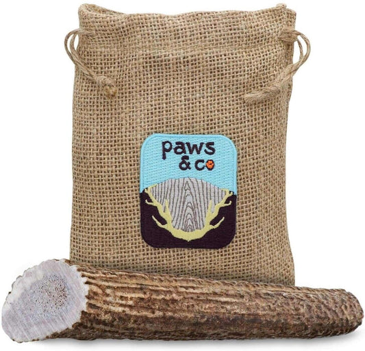 Large Whole Elk Antler Chew - Paws & Co Dog Chews