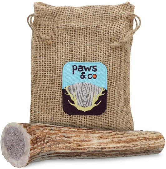 Medium Whole Elk Antler Chew - Paws & Co Dog Chews