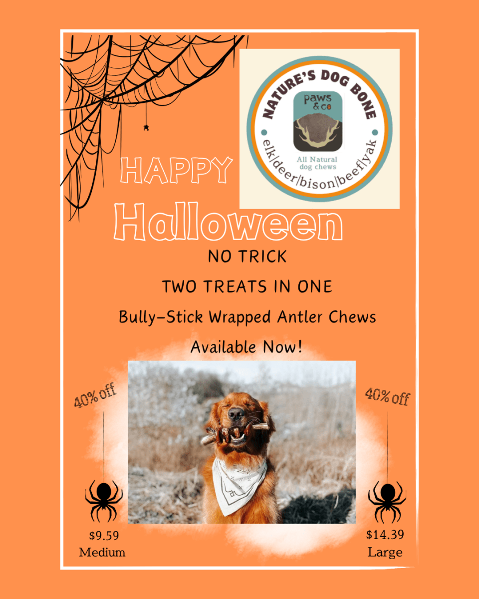 Happy Halloween! NO TRICK - TWO TREATS IN ONE - Paws & Co Dog Chews