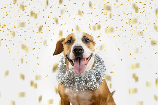 Happy New Year! - Paws & Co Dog Chews