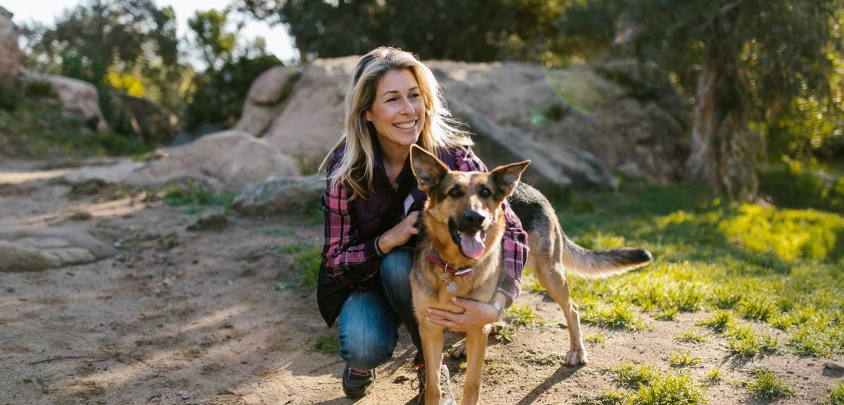 top 10 tips to keep your dog safe this summer - Paws & Co Dog Chews