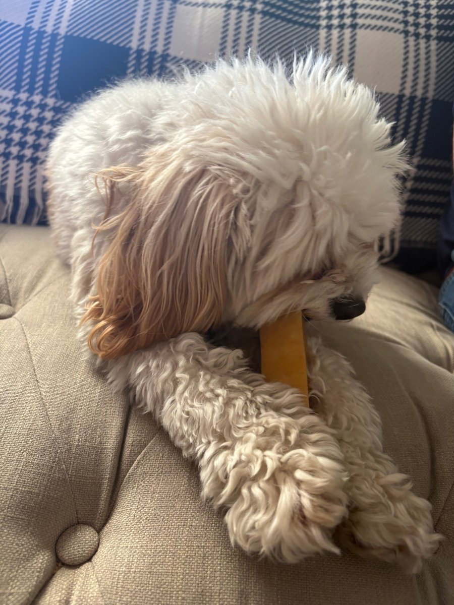 Light Chewers - Paws & Co Dog Chews