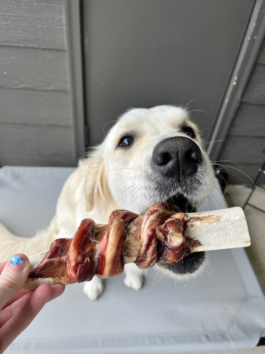 Moderate Chewers - Paws & Co Dog Chews