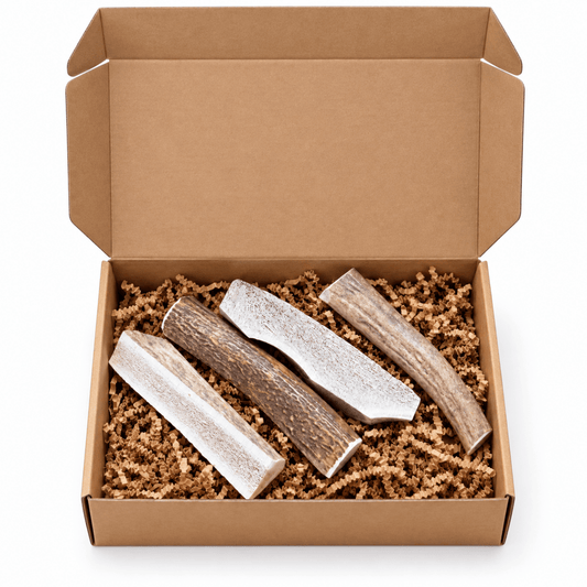 1 lb Elk Antler Chew Box - Paws & Co Dog Chews
