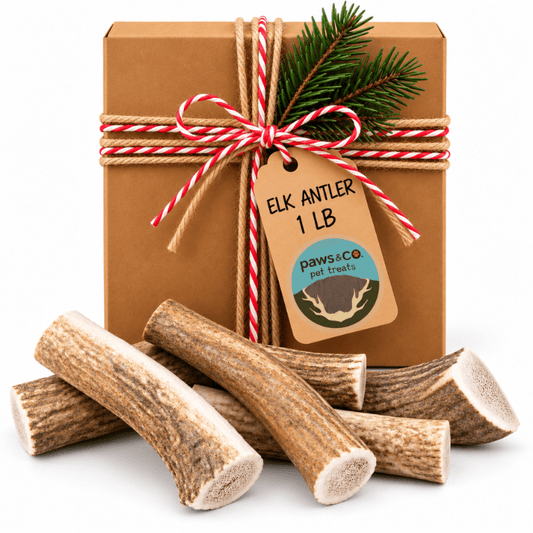 1 LB Elk Antler Dog Chews | Holiday Gift Box - Paws & Co Dog Chews