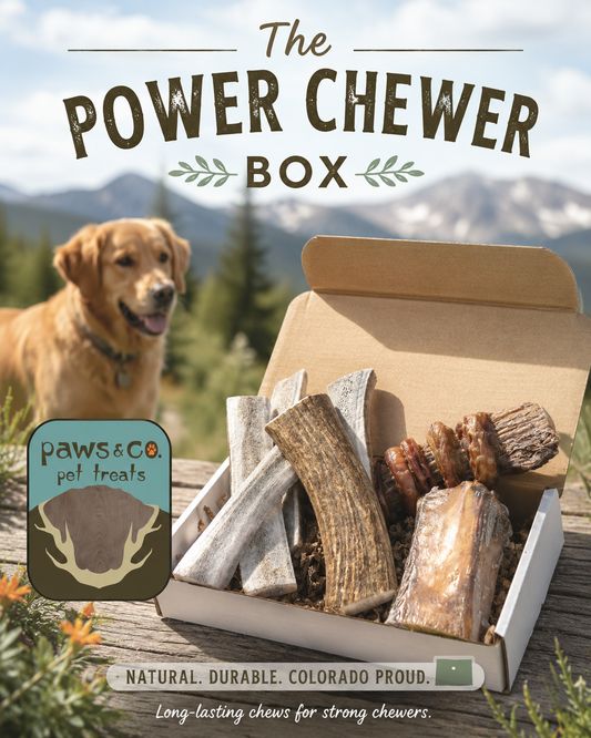 Power Chewer Bundle