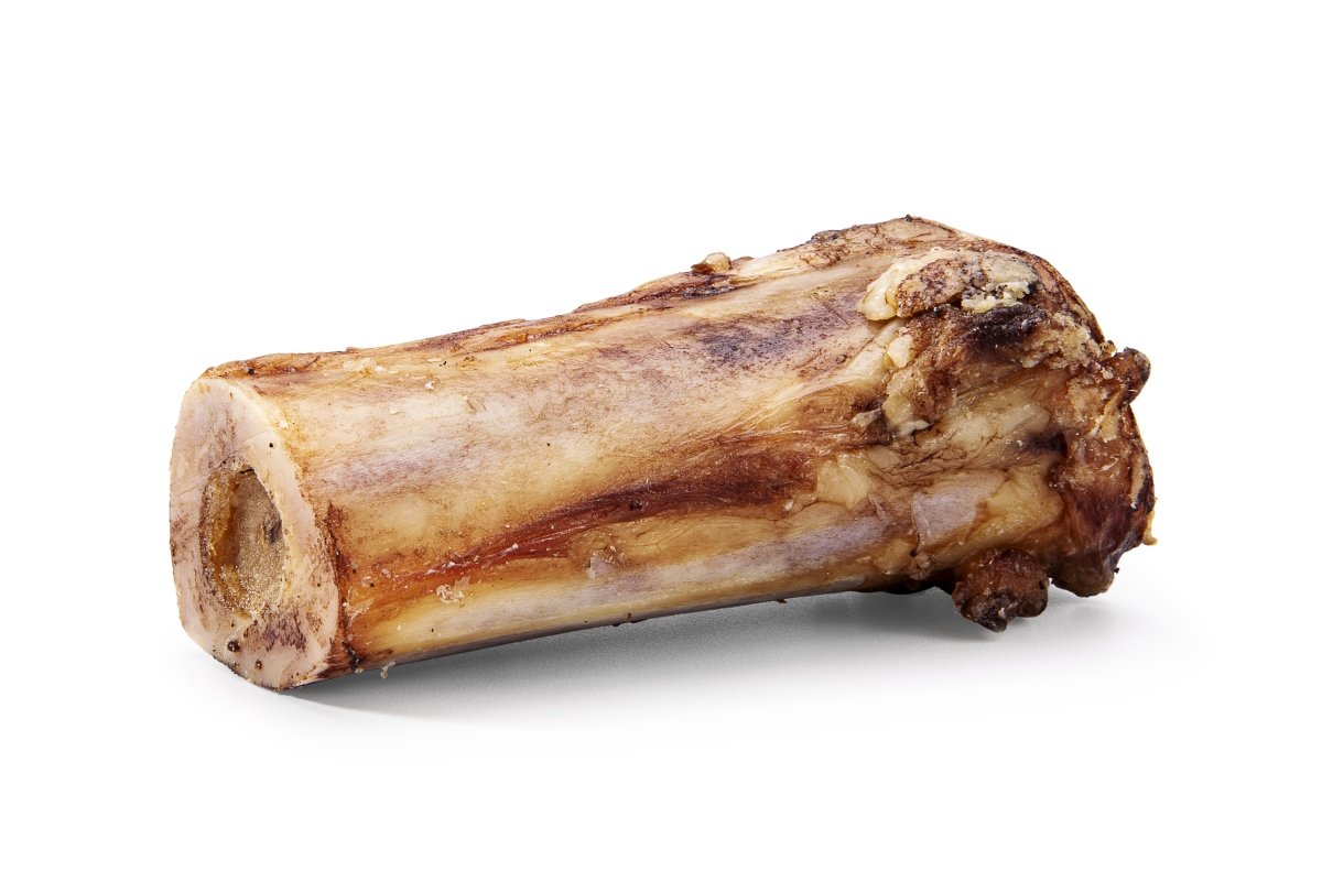 Bison Marrow Bones - Paws & Co Dog Chews