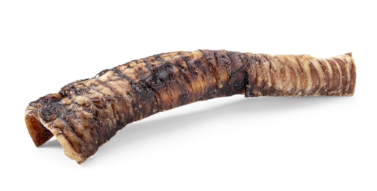 Buffalo trachea for clearance dogs