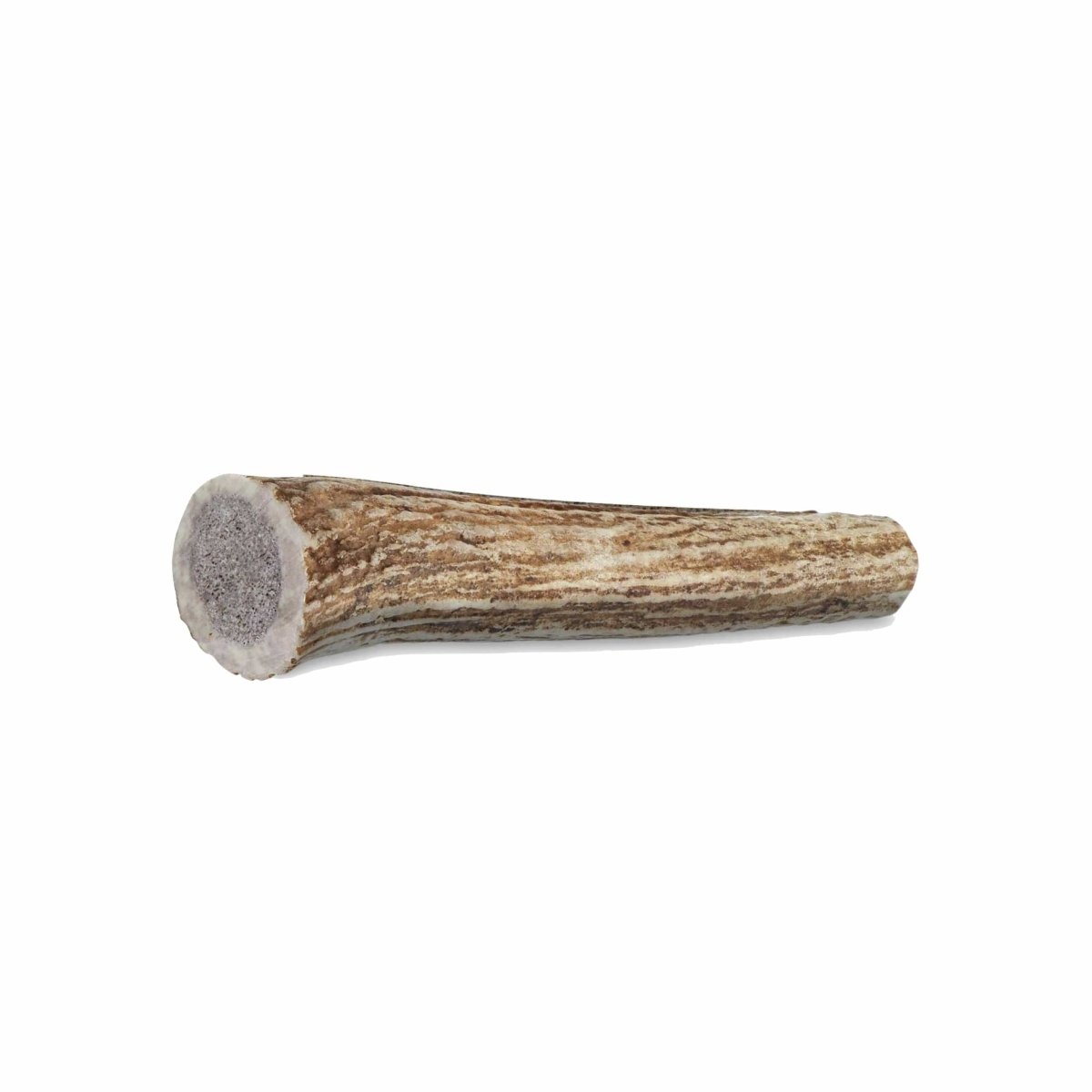 Medium Whole Elk Antler Chew - Paws & Co Dog Chews