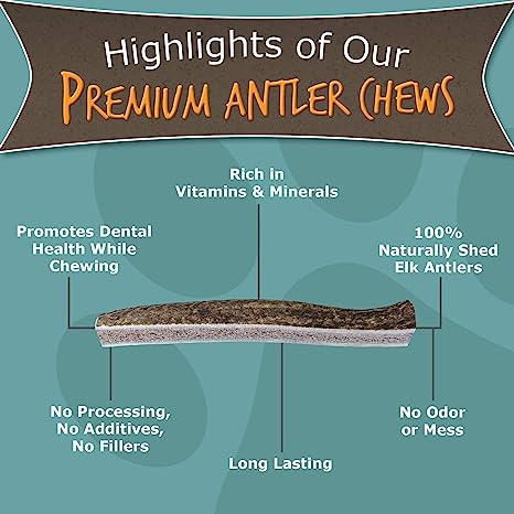 Paws & co antler chews best sale