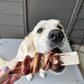 Split Elk Antler Chews Wrapped in Beef Bully Stick - Paws & Co Dog Chews