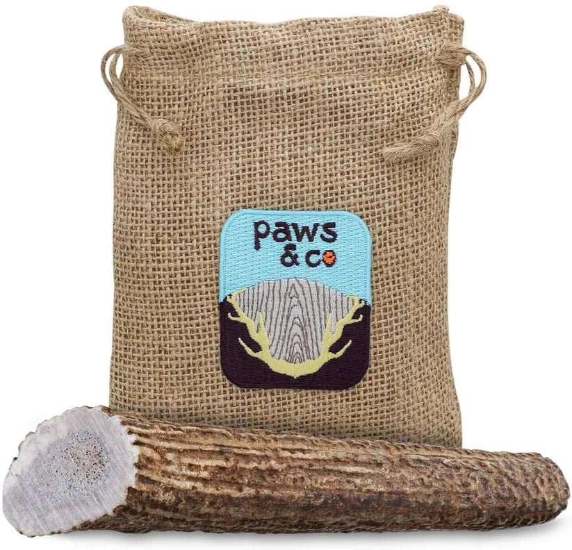 Whole Elk Antler Chews - Paws & Co Dog Chews