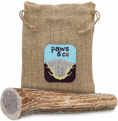 Whole Elk Antler Chews - Paws & Co Dog Chews